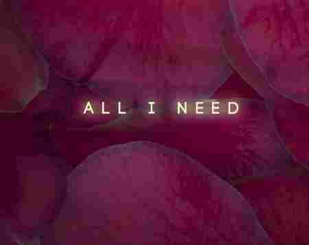 دانلود آهنگ اونالید اونالید ایز لالالا آل آی نید All I Need